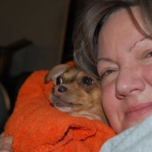 Meet your Posher, Sandy